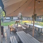 20240920_093515 nieuwe hangplantjes
